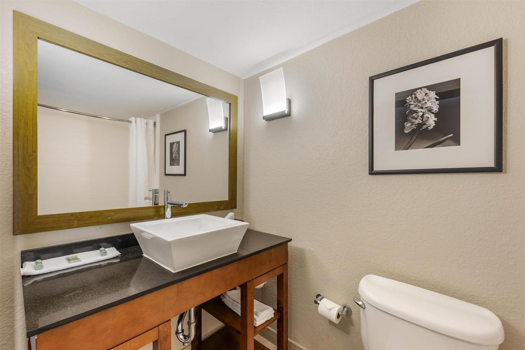Best Western Alamo Suites Downtown San Antonio Eksteriør billede